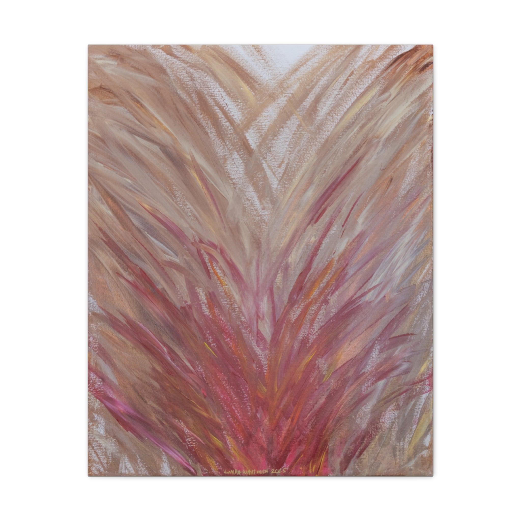Blush Feathers -  Matte Canvas Print