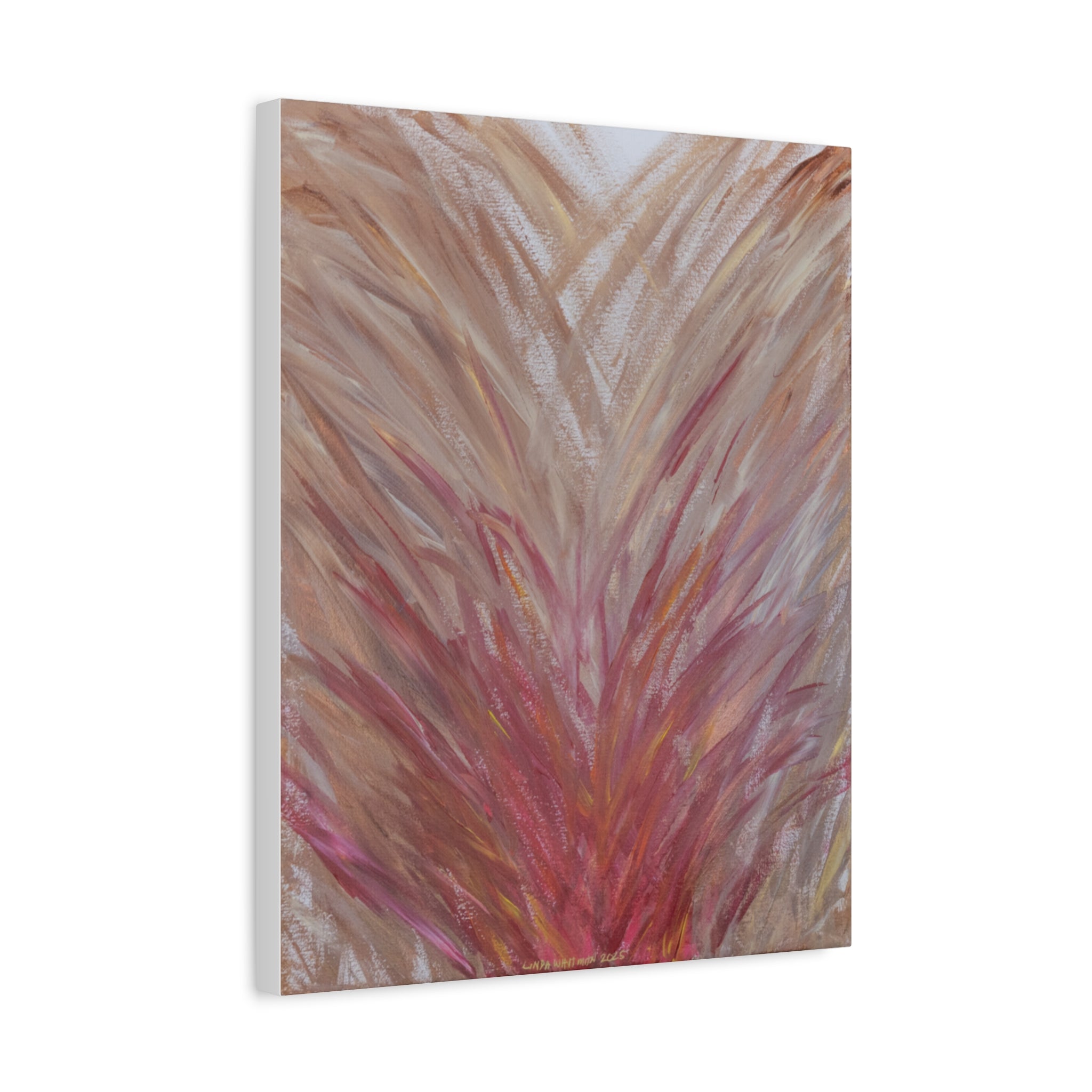 Blush Feathers -  Matte Canvas Print