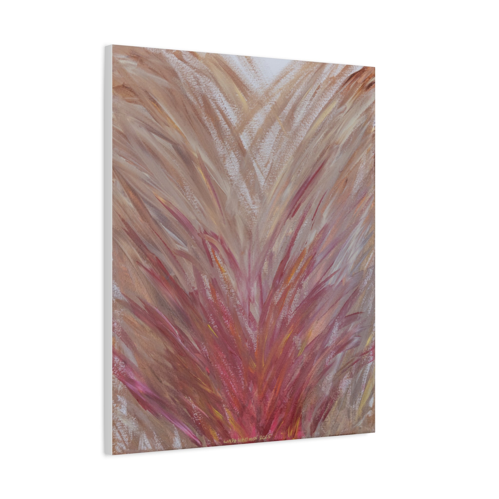 Blush Feathers -  Matte Canvas Print