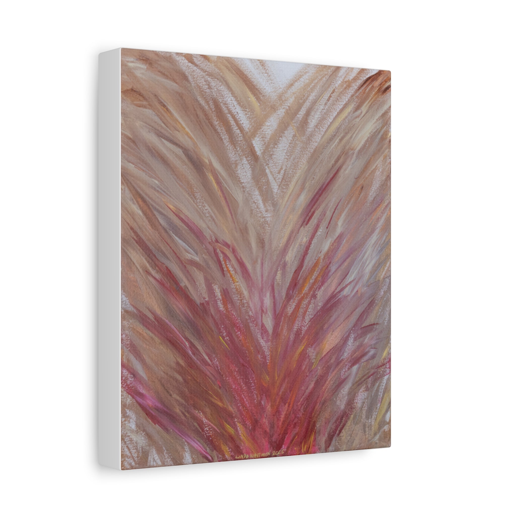 Blush Feathers -  Matte Canvas Print